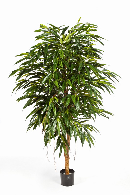 Královská palma Longifolia deluxe, 180cm