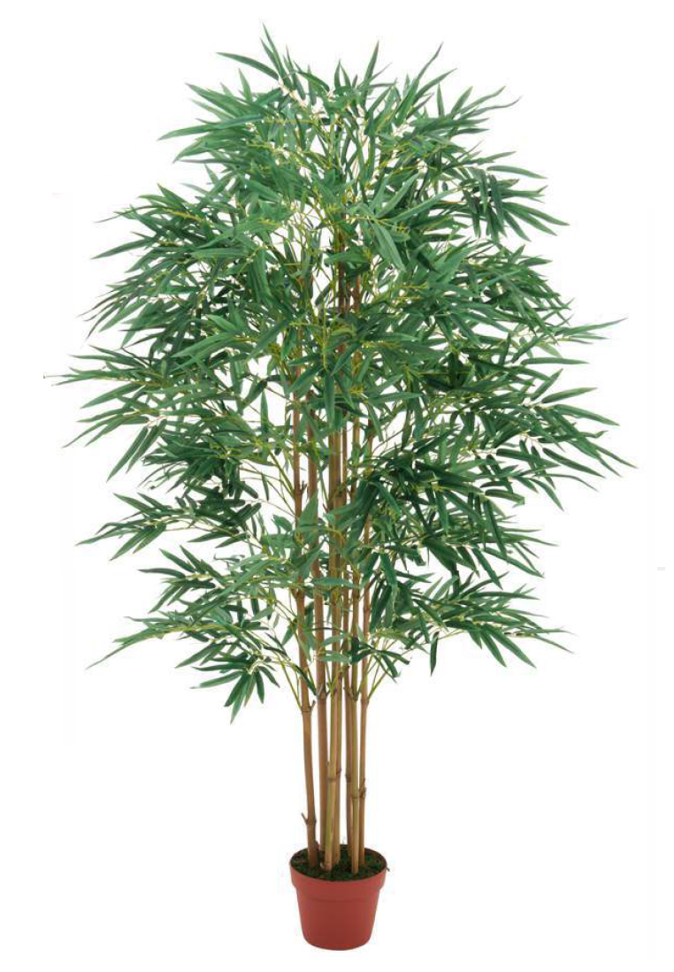 Bambus strom - 5 přírodních kmenů, 150cm