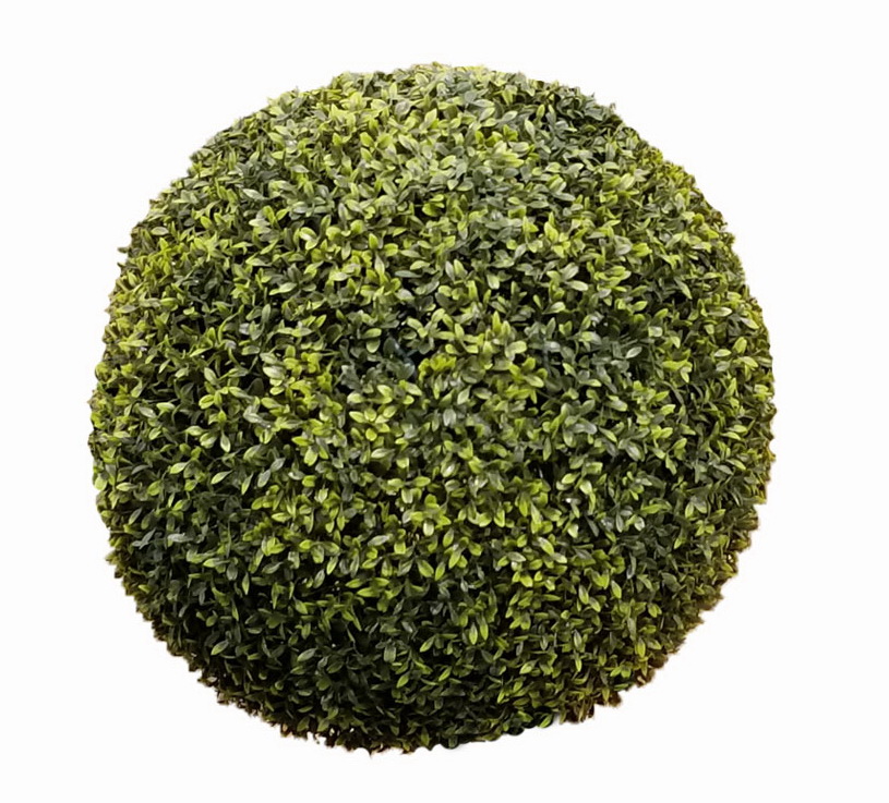Zimostráz - Buxus koule venkovní, 47 cm
