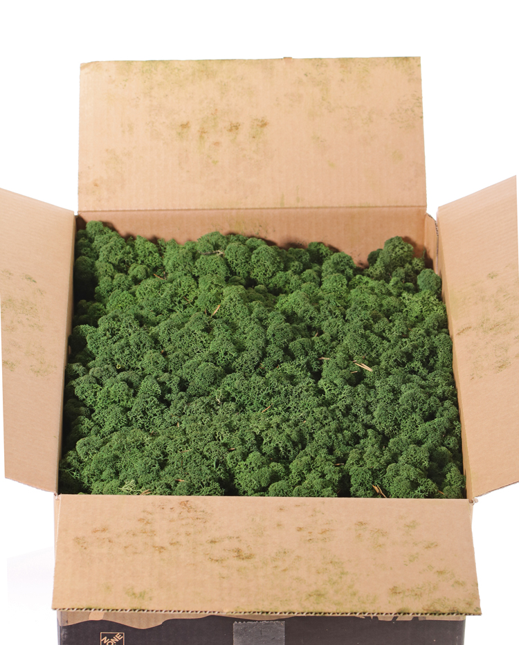 Stabilizovaný mech box 2,7kg - tmavě zelená