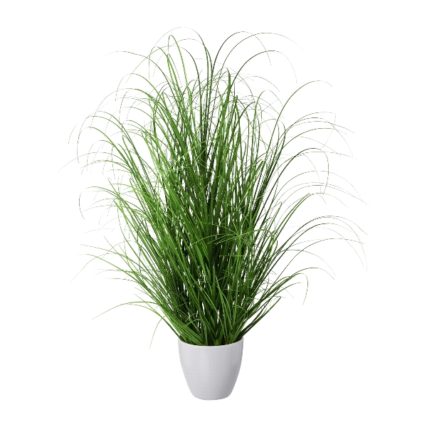 Tráva keř v bílém květináči, 75cm