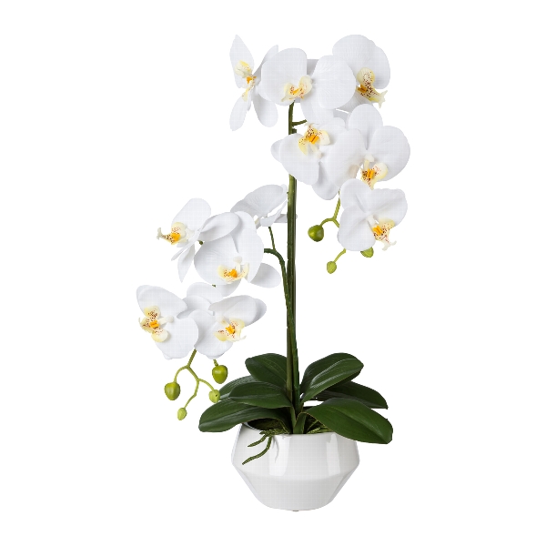 Orchidej bílá v květináči, 52cm