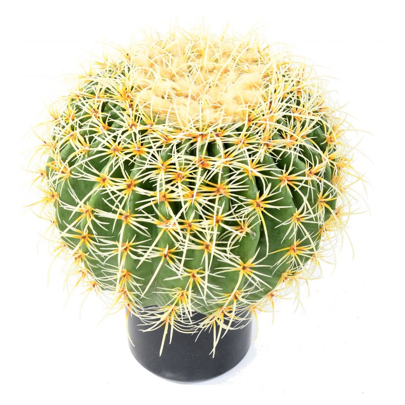 Kaktus koule v květináči, 40cm