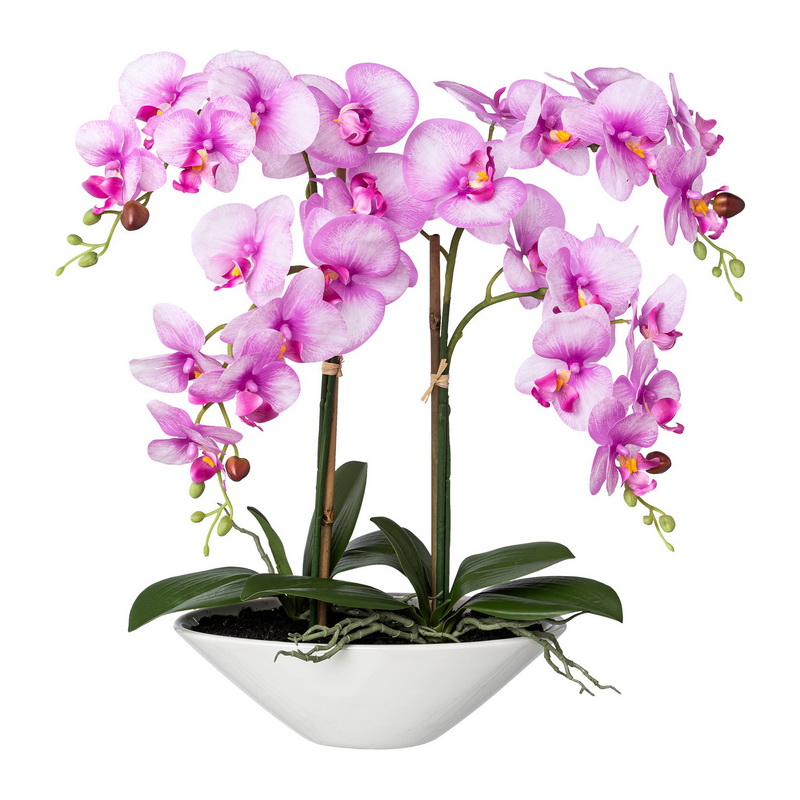 Orchidej růžová v misce, 53cm 