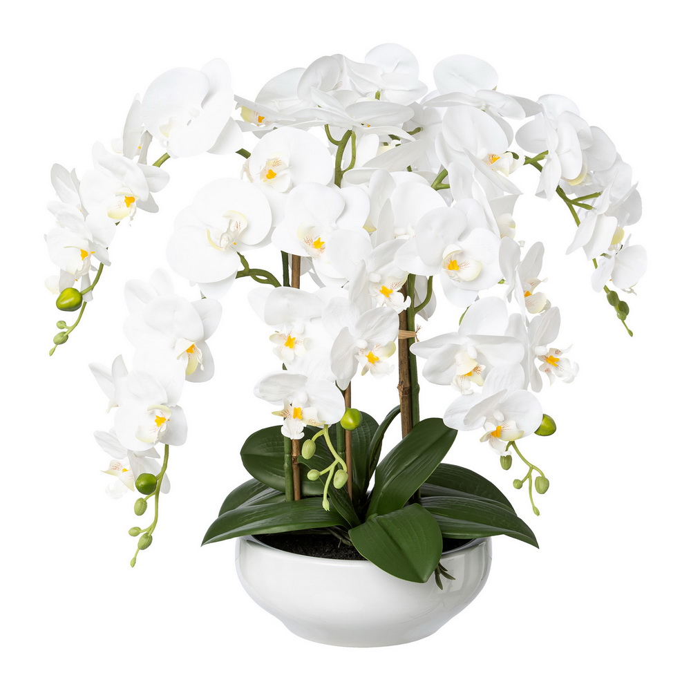 Orchidej bílá v misce, 47cm