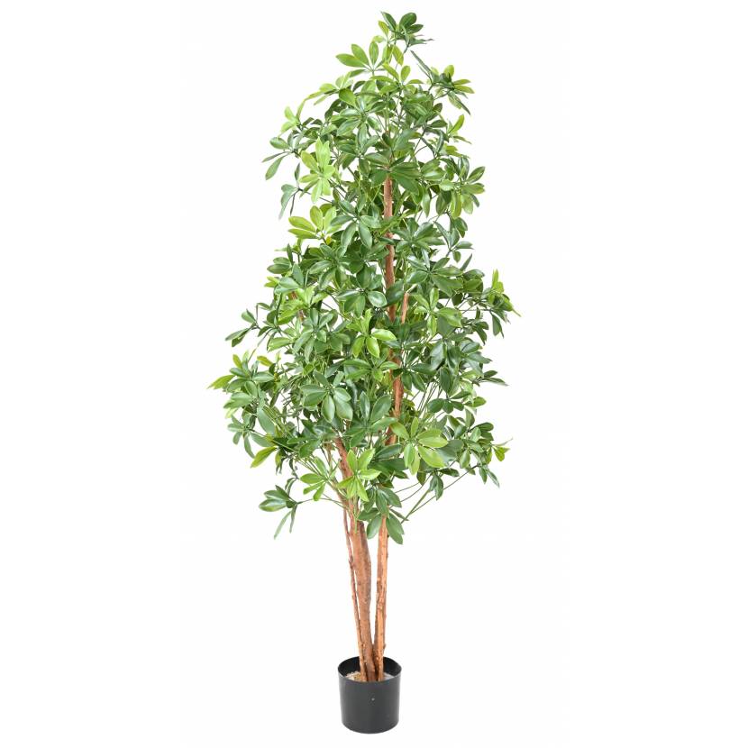 Choisie strom Plast UV, 180cm