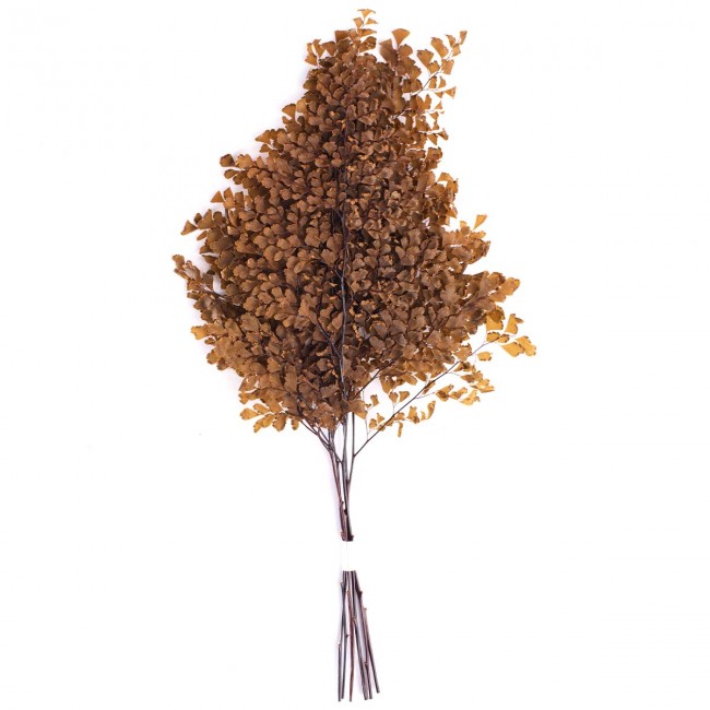 Stabilizovaná rostlina Lutti Fern Orange 20-30 cm
