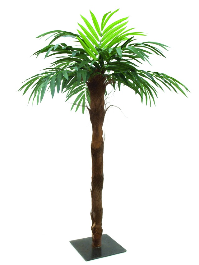 Kokosová palma 14listů, kmen palm.vlákno 210cm