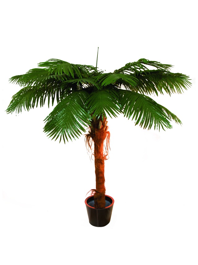 Kokosová palma 16 listů, kmen palm.vlákno 240cm
