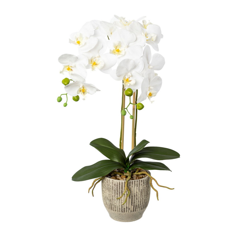 Orchidej bílá v květníku, 55cm