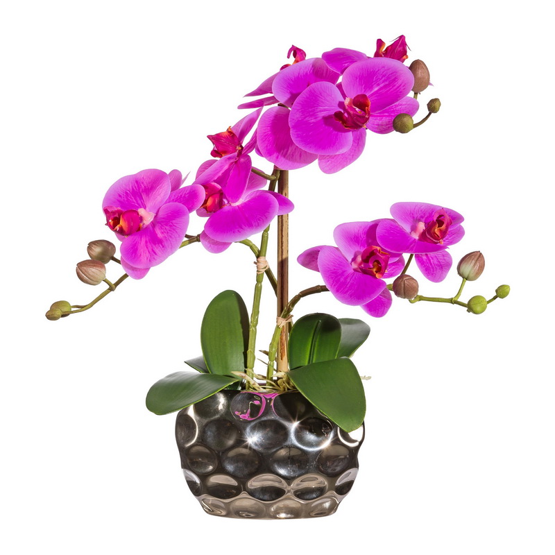 Orchidej fialová v květináči, 30cm