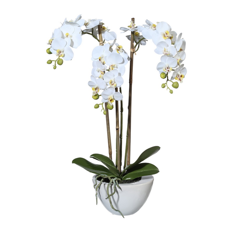 Orchidej bílá v květináči, 51cm