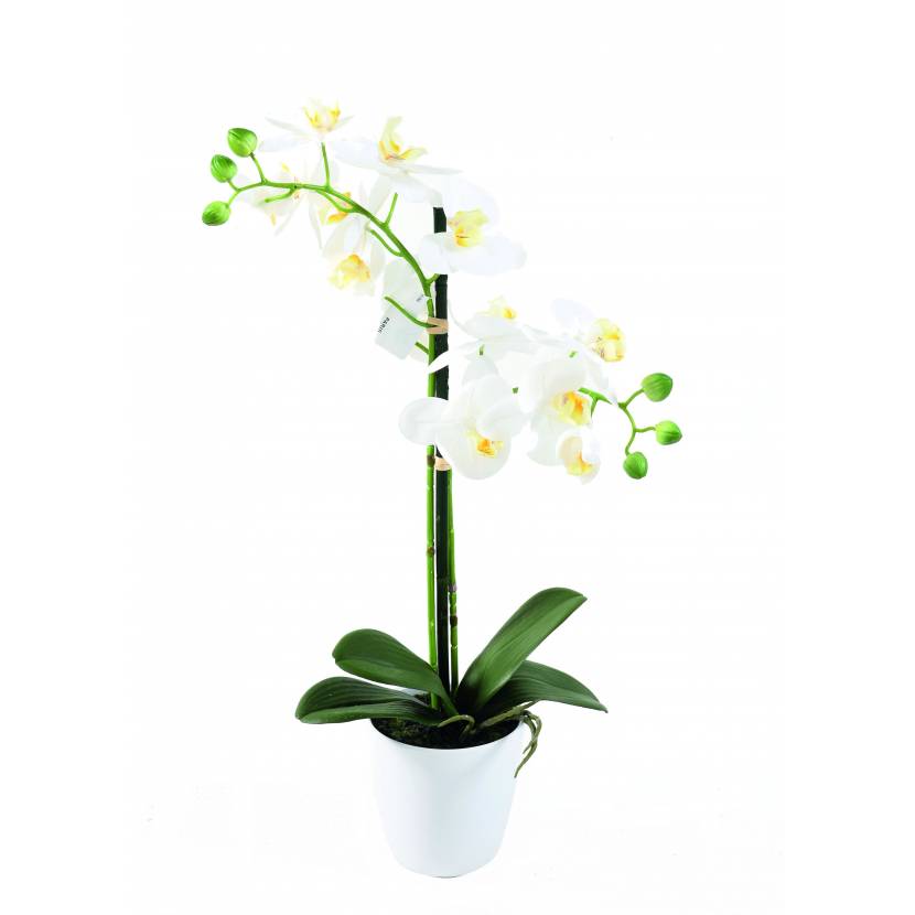 Orchidej bílá DELUXE, 55cm