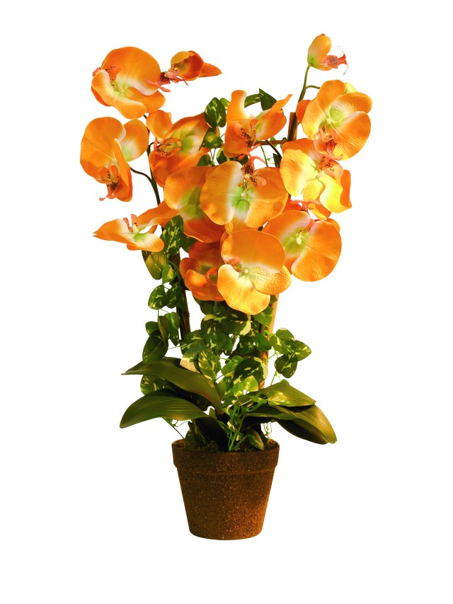 Orchidej s květináčem oranžová, 57 cm