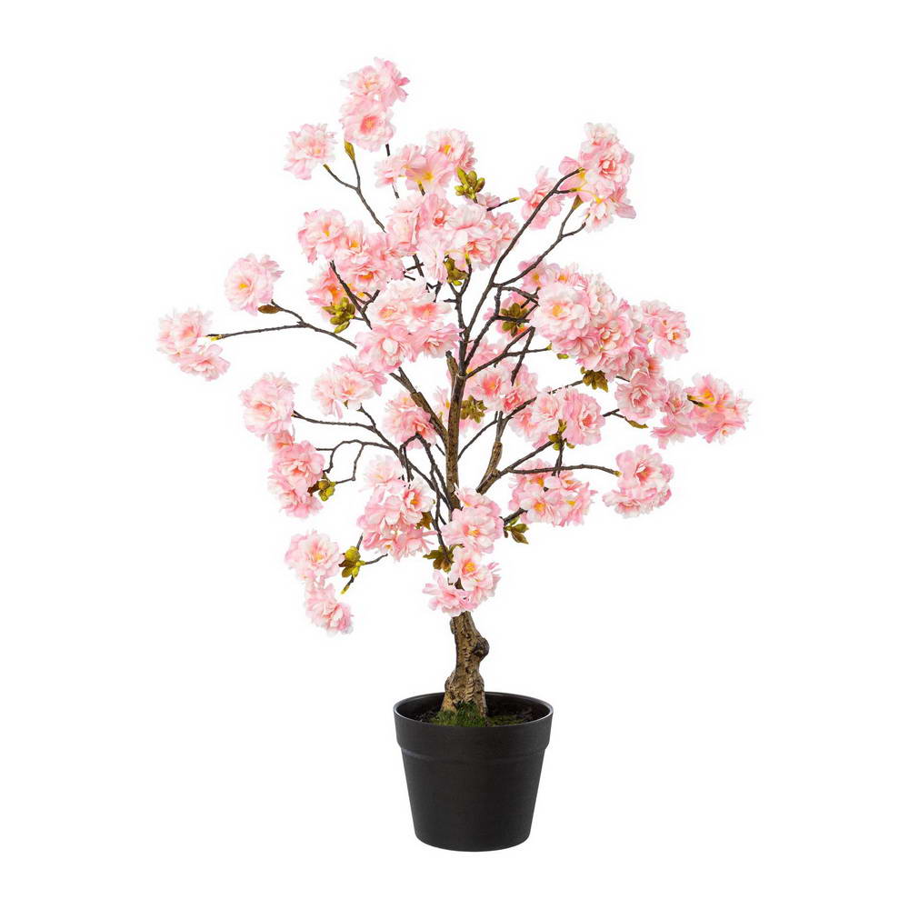 Třešeň růžová v květináči, 70cm