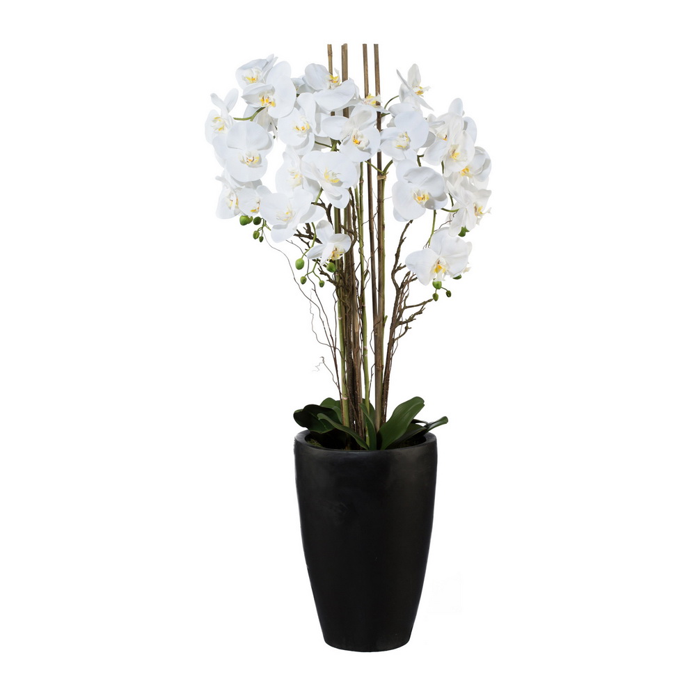 Orchidej bílá v černém květináči, 120cm