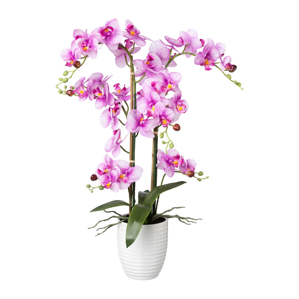Orchidej růžová v květináči, 67cm