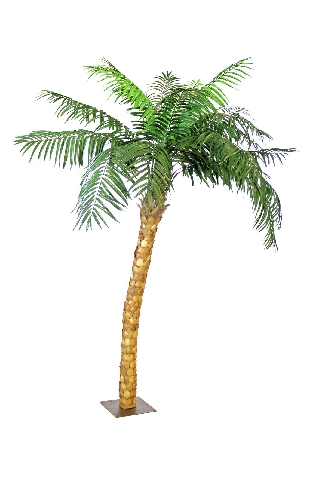 Kokosová palma - 990 listů, 320cm