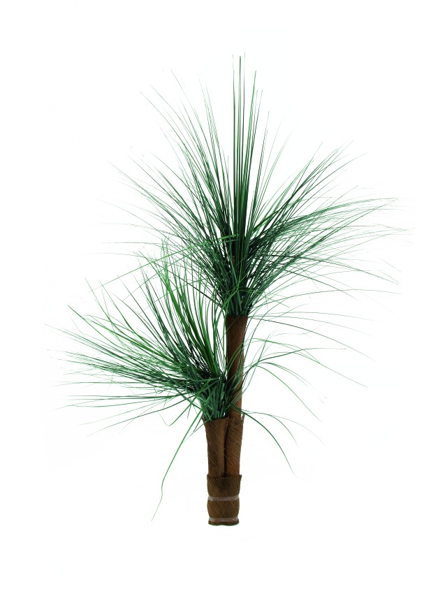 Trávová palma - 2 kmeny, 110cm