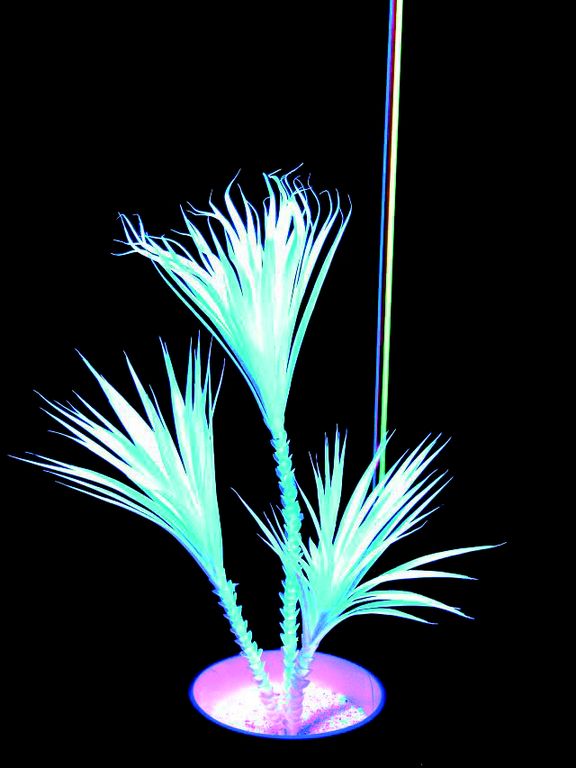UV Yucca, 90cm