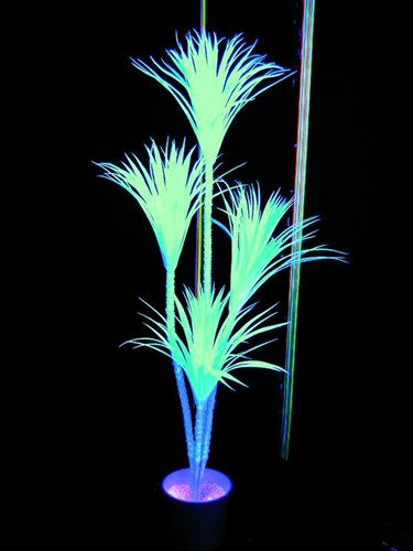 UV Yucca, 180cm