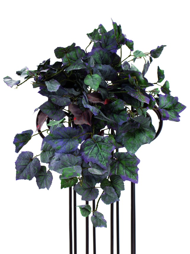 Vinná réva – keř přírodní, 15nás.,138 listů, 50cm