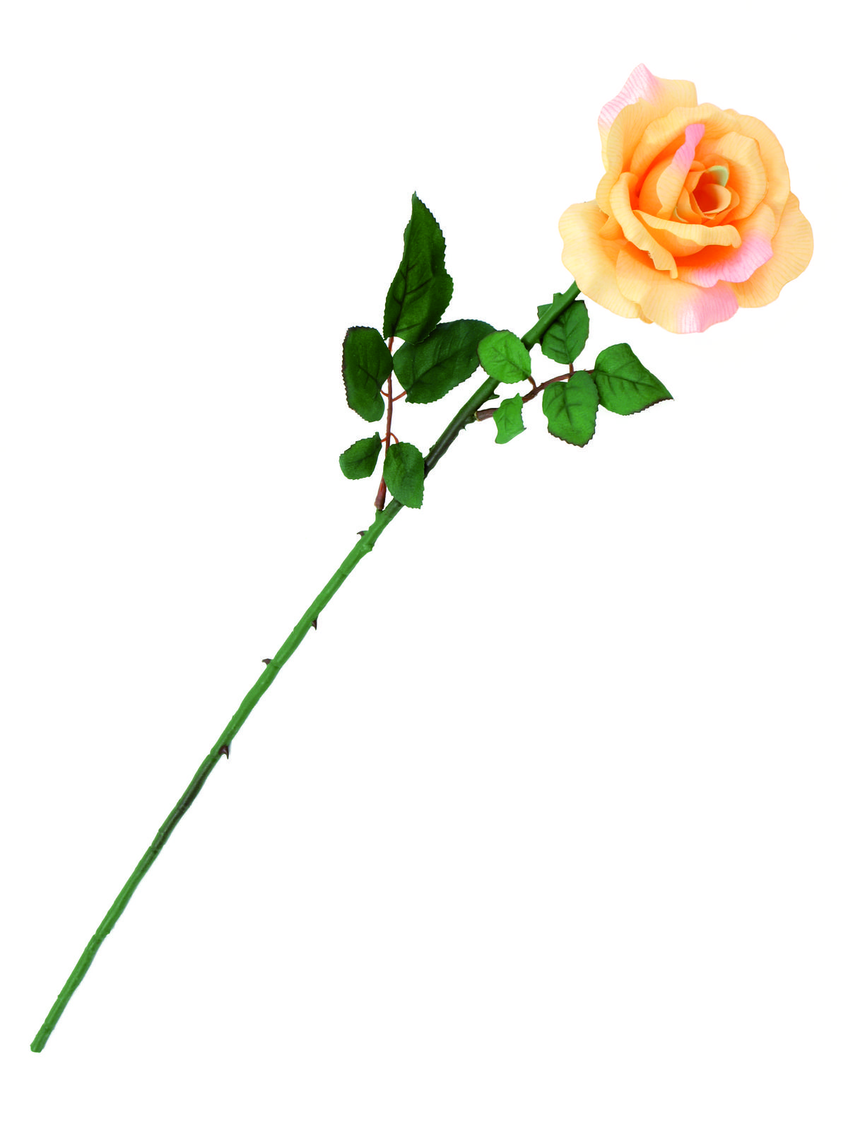Růže, otevřený květ, krémová, 65cm
