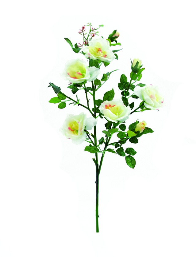 Růžová větvička, 90 cm