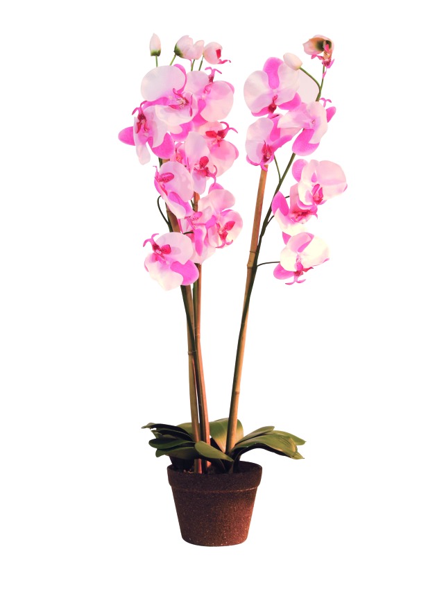 Orchidej s květináčem růžová, 80 cm