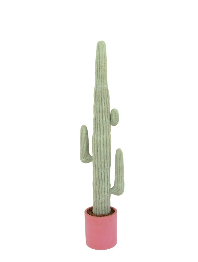 Mexický kaktus přír.bílá 157cm