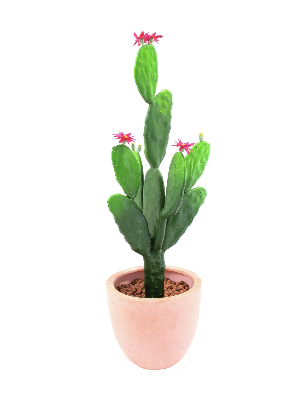 Listový kaktus s květy 77cm