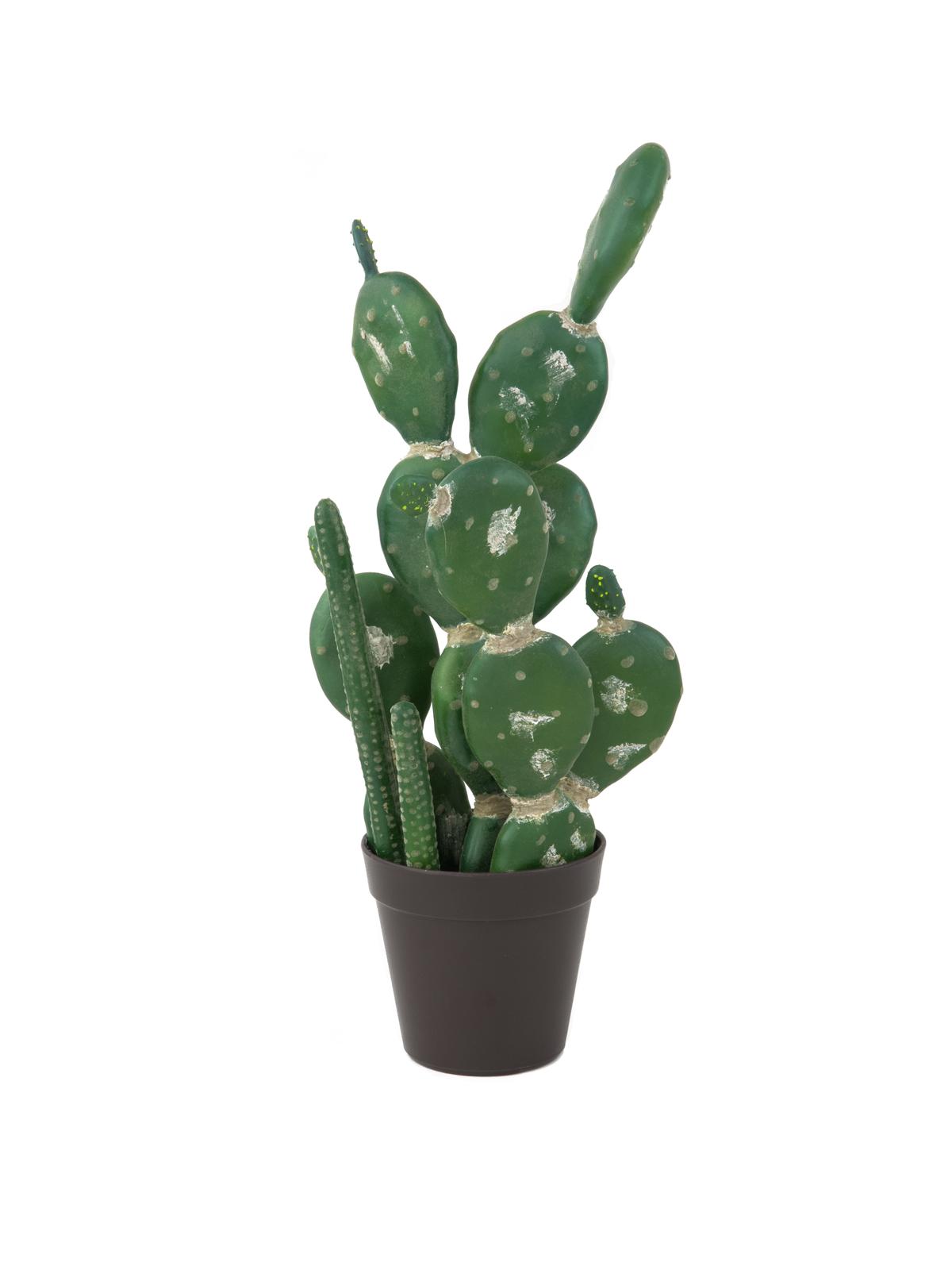 Kaktus mix v květináči 54cm
