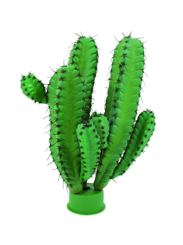 Sloupový kaktus  38cm