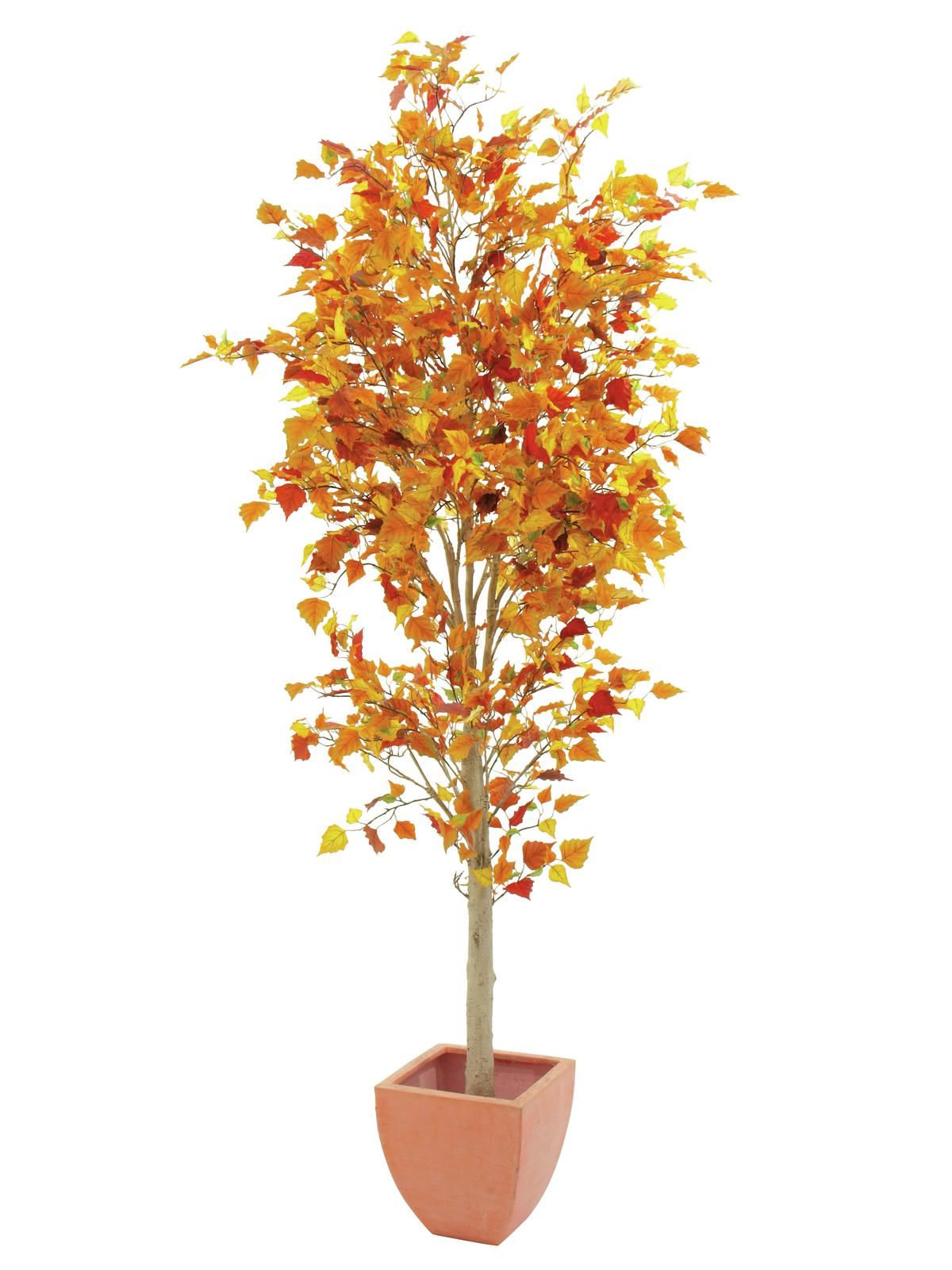 Podzimní strom, 180 cm