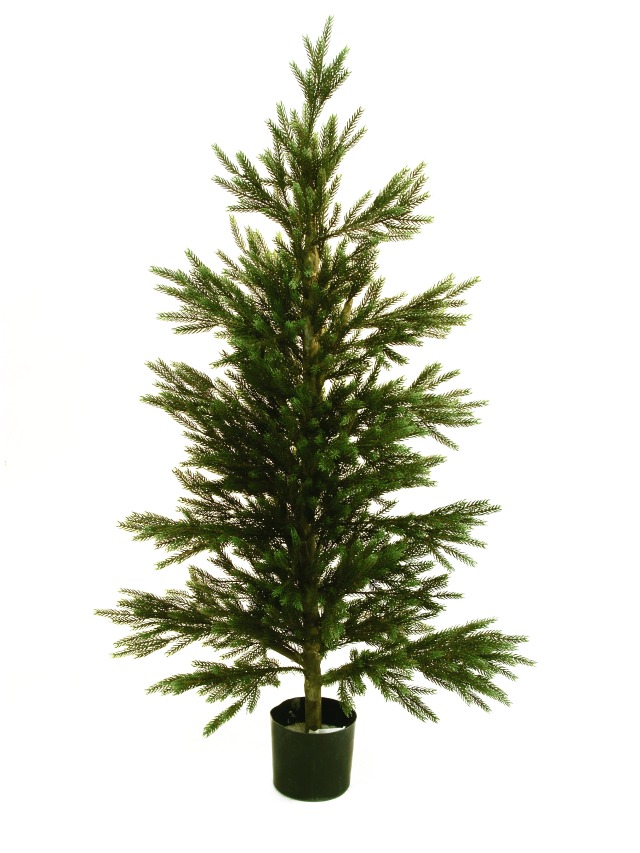 Vánoční strom - Jedle, 150 cm