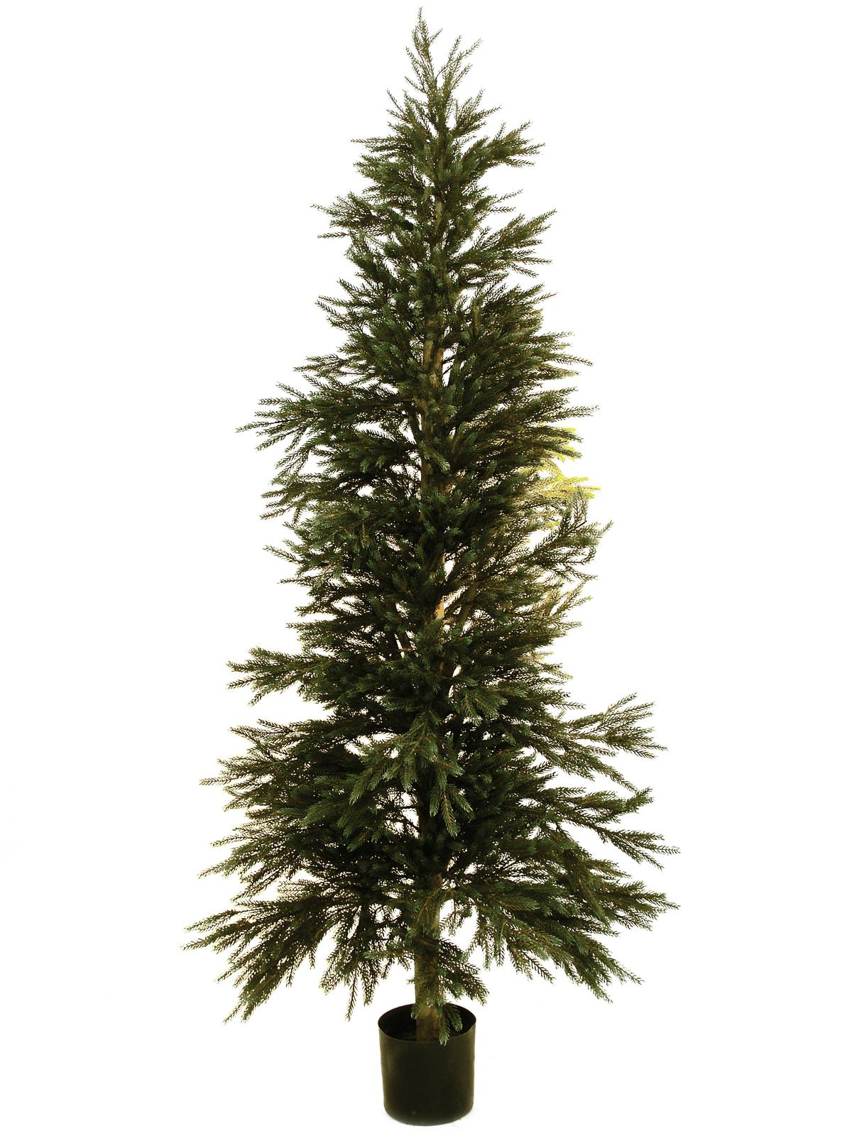Vánoční strom - Jedle, 180 cm