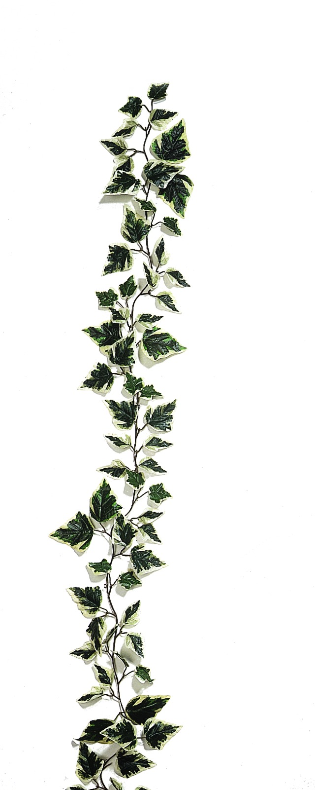 Girlanda z břečťanu, zelená/bílá 180cm
