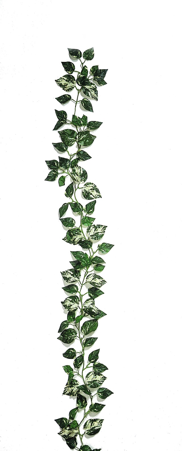 Girlanda z Pothosu, zelená 180cm