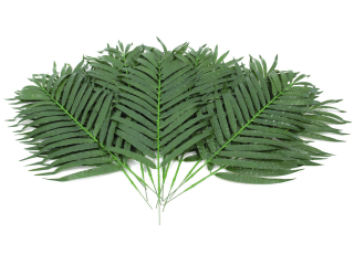 Palmový list Kokos - 12kusů, 90cm