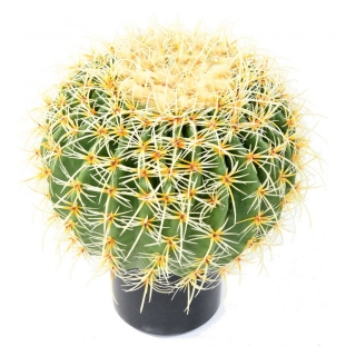 Kaktus koule v květináči, 35cm