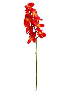 Orchidea větvička, oranžová, 70cm