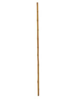 Tyč bambusová, průměr 3cm, délka 200cm