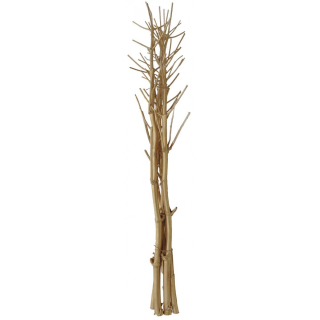 Fenykl - sušené větve, zlaté 160cm