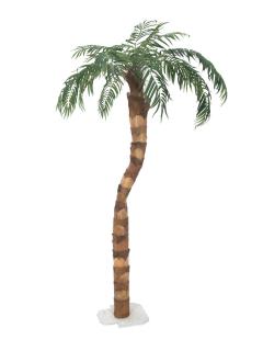 Phoenix palma 190cm
