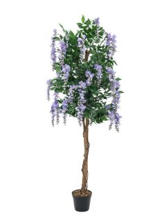 Vistárie strom - přírodní kmen, fialová, 150 cm