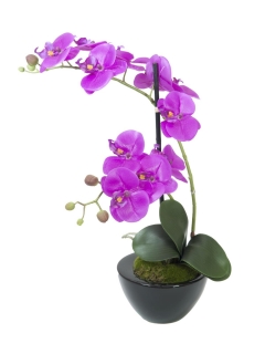 Fialová orchidej s květináčem - 11 květů, 45 cm