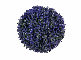 Zimostráz - Buxus koule fialová, 22cm