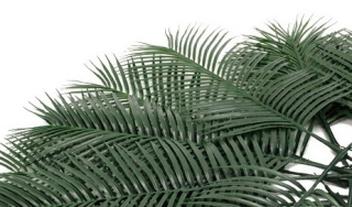 Palmový list Phoenix plast - 14kusů, 75cm