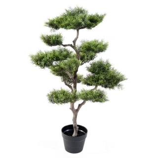 Borovice bonsai, 95cm