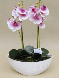 Orchidej v misce fialovo-bílá, 52cm